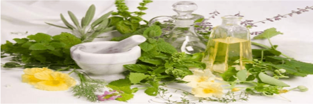 Alternative Medicine is an Adjunct to the Conventional Medicine