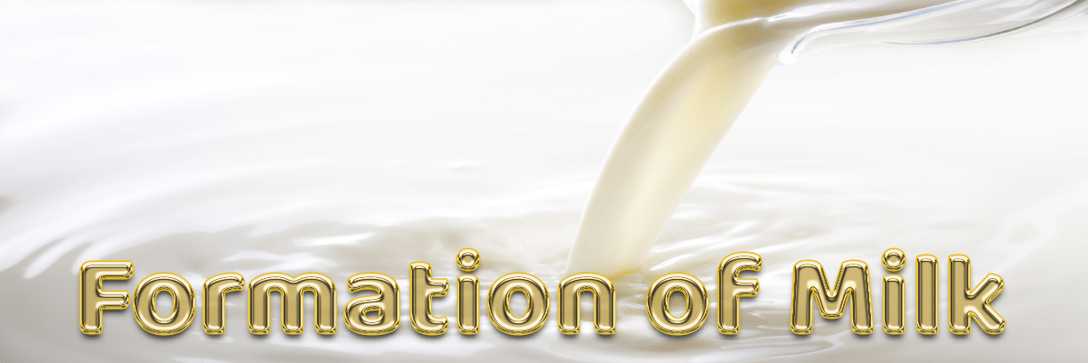 Formation of Milk