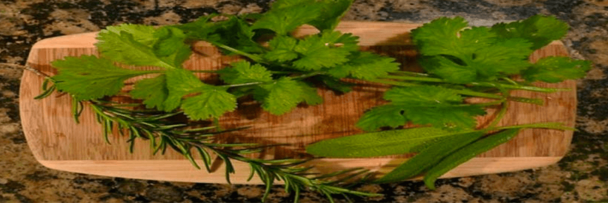 Herbs In Hadith: Kitchen Herbs