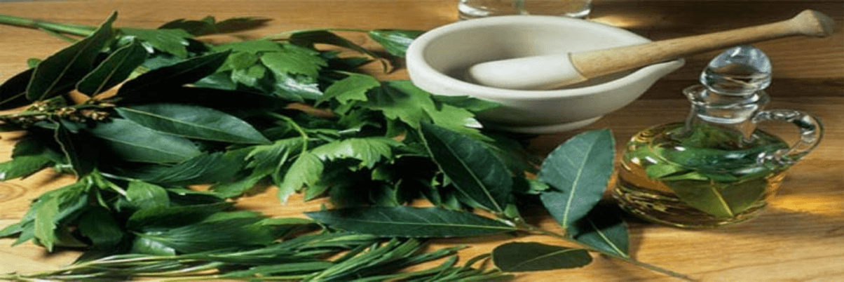 Herbs in Hadith: Ramadan Herbs