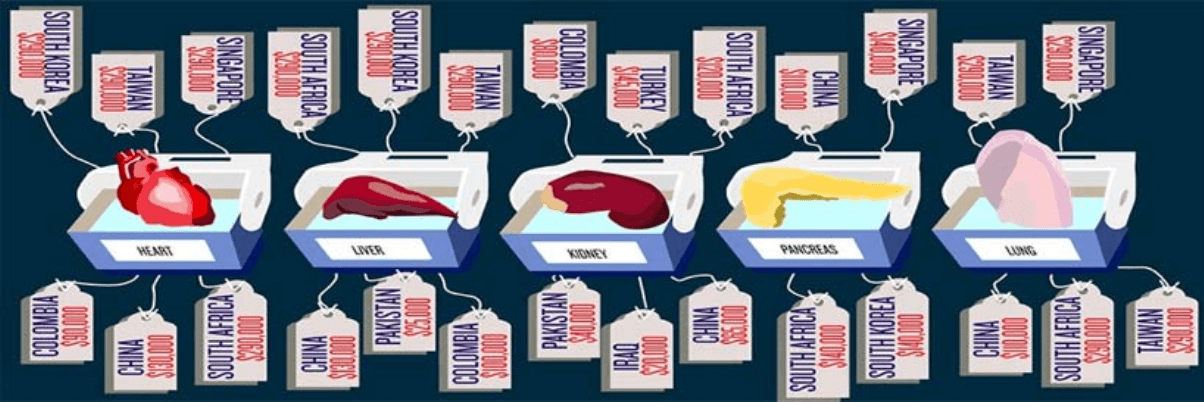 Sale of Human Organs – Study I